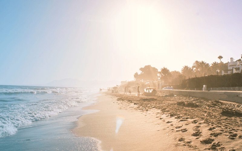 שירותי ייעוץ עסקי